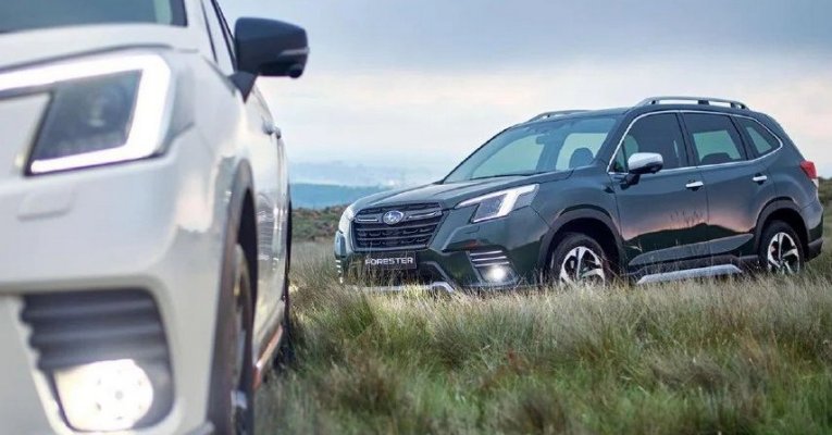 Subaru – выбор автолюбителей. Какие модели бренда победили в online голосовании «Автомобиль года»?